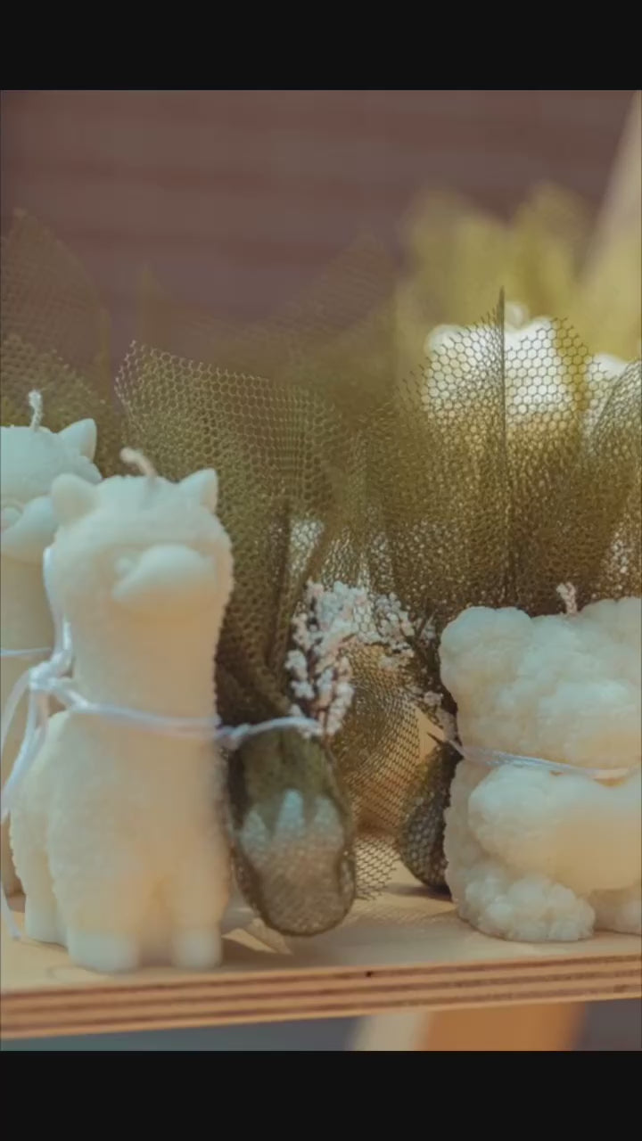 Dreamy Animal Candle Μπομπονιέρες Βάπτισης